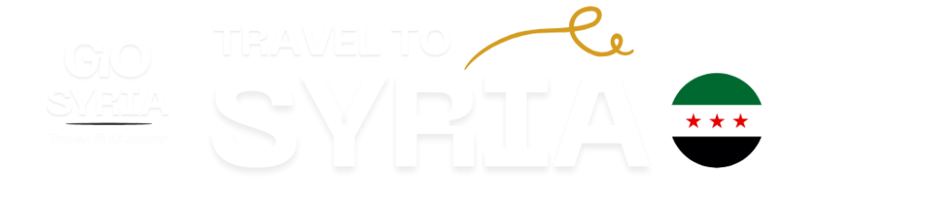 Travel to Syria 