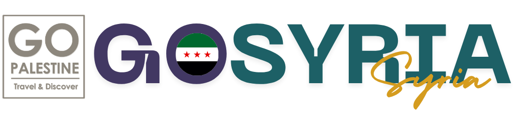 Volunteer in Syria
